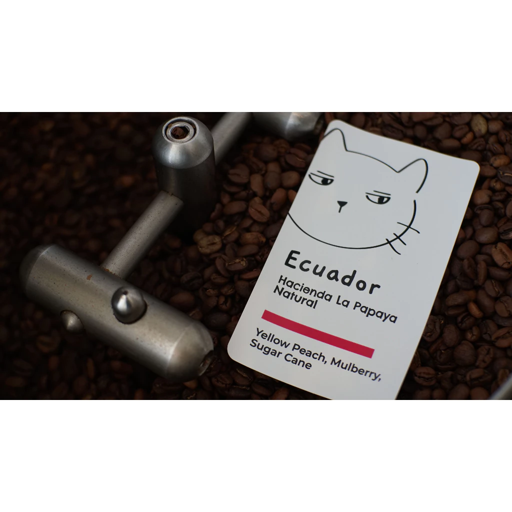 Overdose Kitten Ecuador Hacienda La Papaya – specialty coffee beans Malaysia