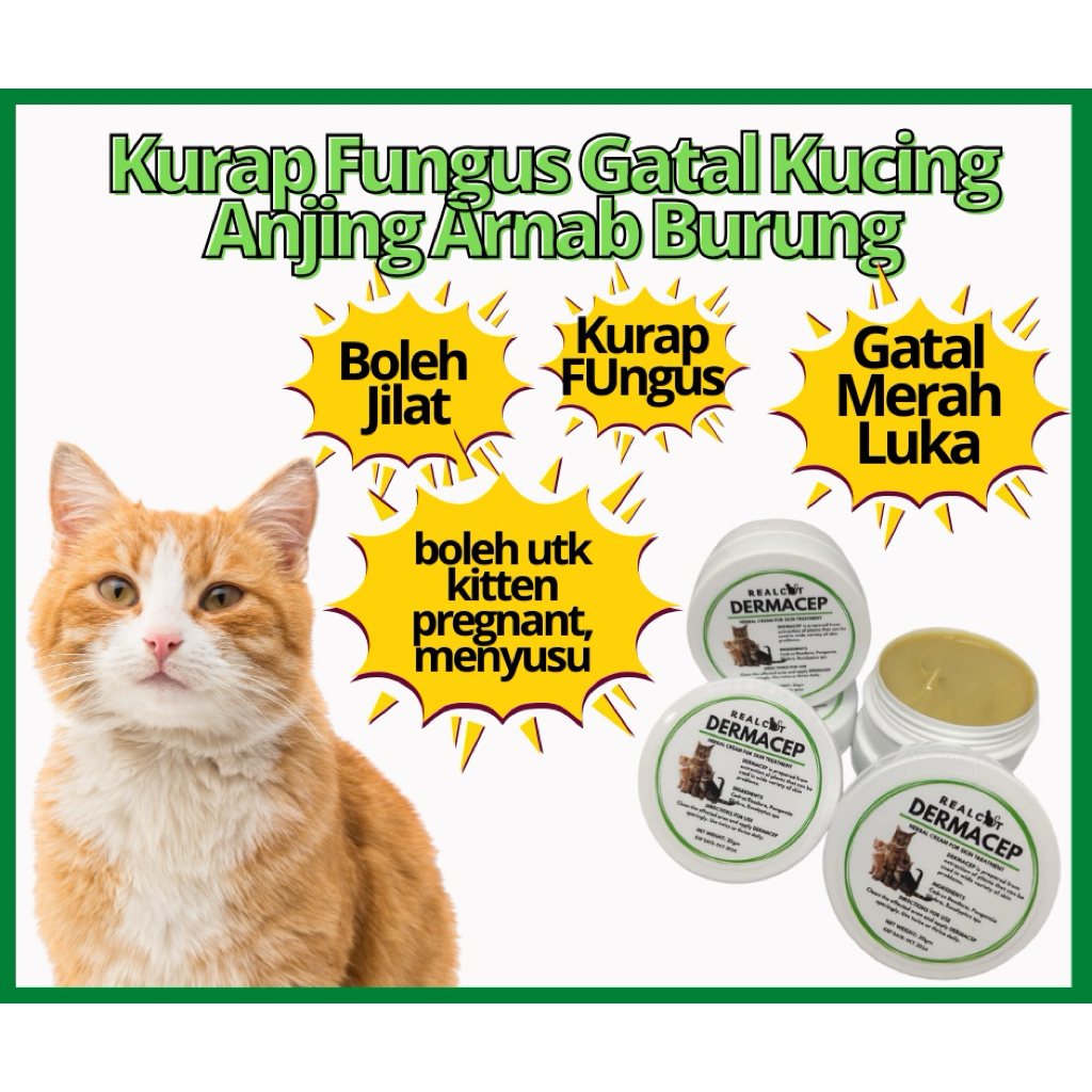Realcat Krim Kurap Kudis Luka Sporo Ringworm Gatal Fungus Krim Cream ...