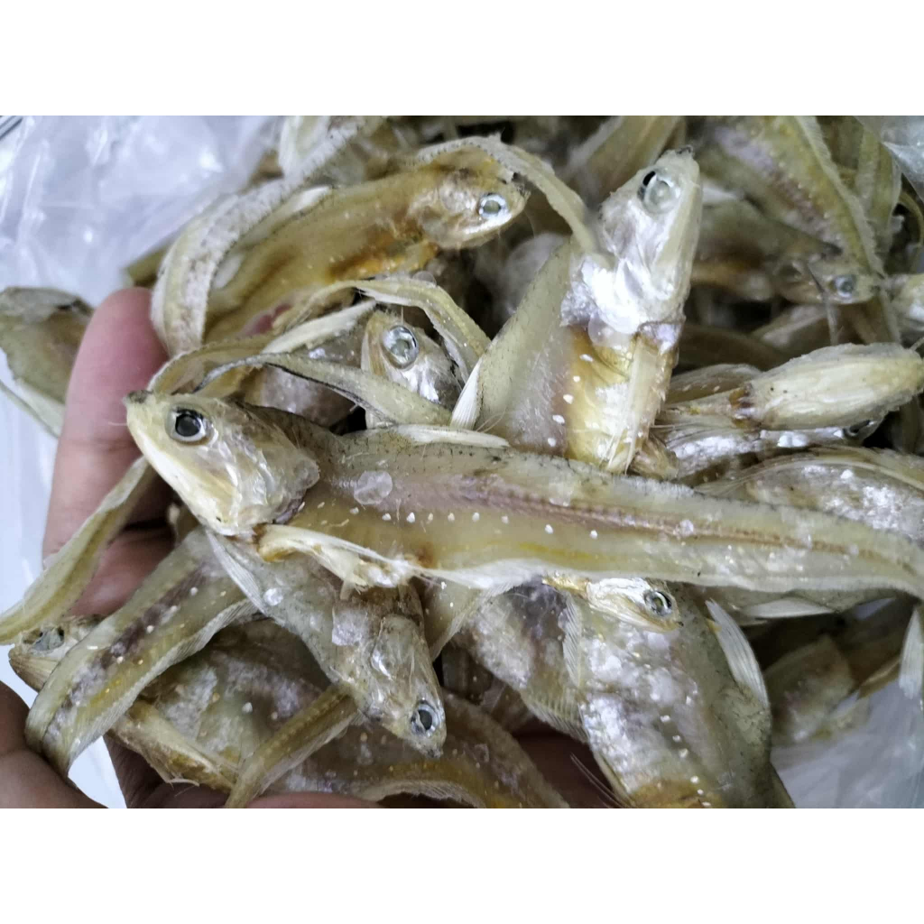 Ikan Bulu Ayam Masin Kering Tanjung Dawai Muslim | Shopee Malaysia