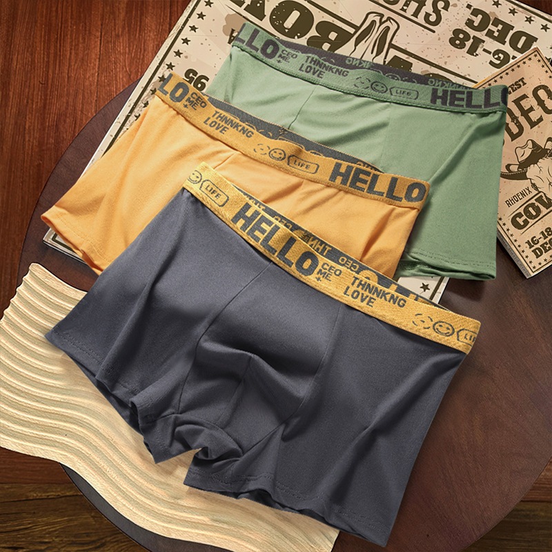 Men Boxer Ice Silk Men Underwear Boxer Lelaki Antibacterial Men Boxer ...