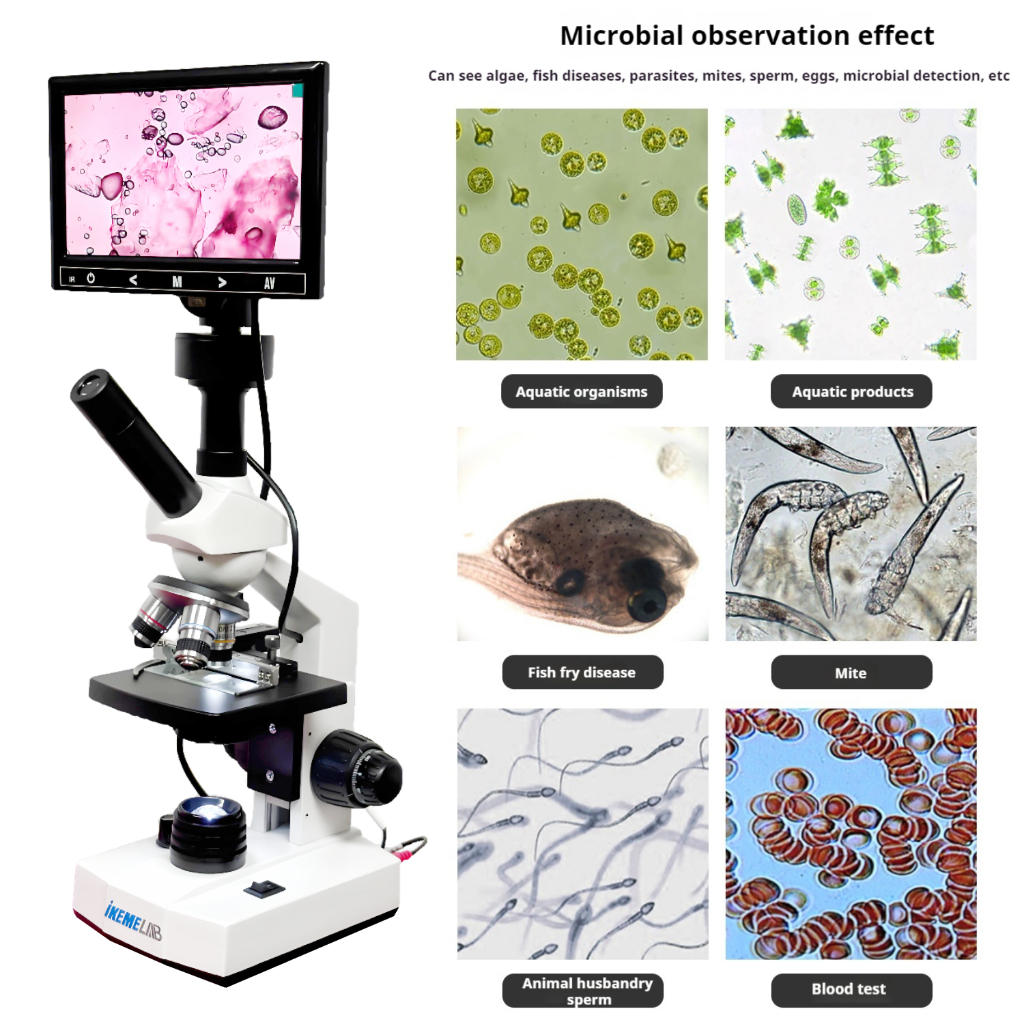Medical Cell Biological Studies Microscope HD Screen 160x Electron ...