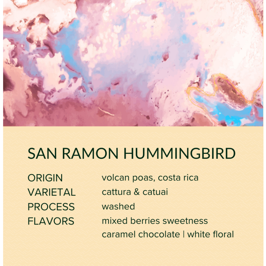 ARI ROASTERY - Espresso Coffee - 2025 Costa Rica San Ramon [Washed ...