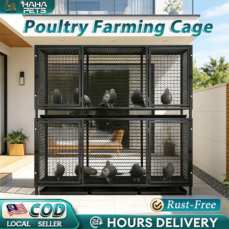 💖Selangor Stock💖Large Pigeon Cage Kandang Ayam 雞籠 Poultry Cage Ayam ...