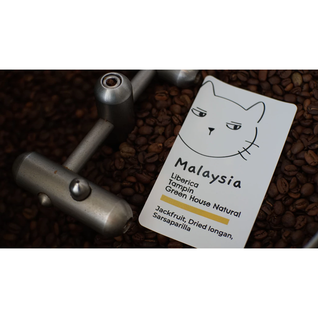 Overdose Kitten Malaysia Tampin Liberica Natural – specialty coffee beans Malaysia