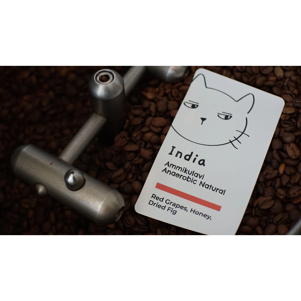 Overdose Kitten India Ammikulavi Anaerobic Natural – specialty coffee beans Malaysia