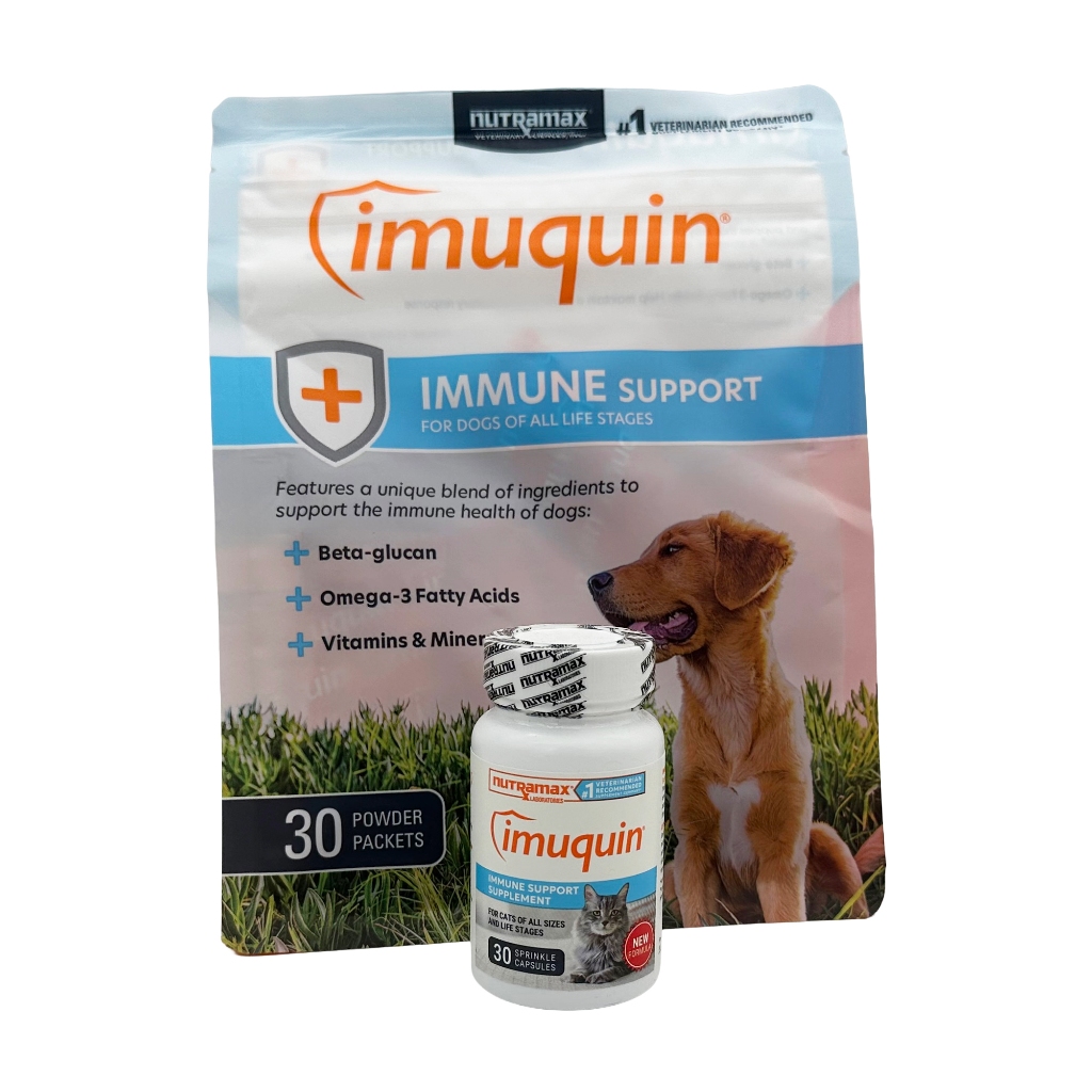 Nutramax Imuquin Immune Health Support for Dogs & Cats 21 Days to ...
