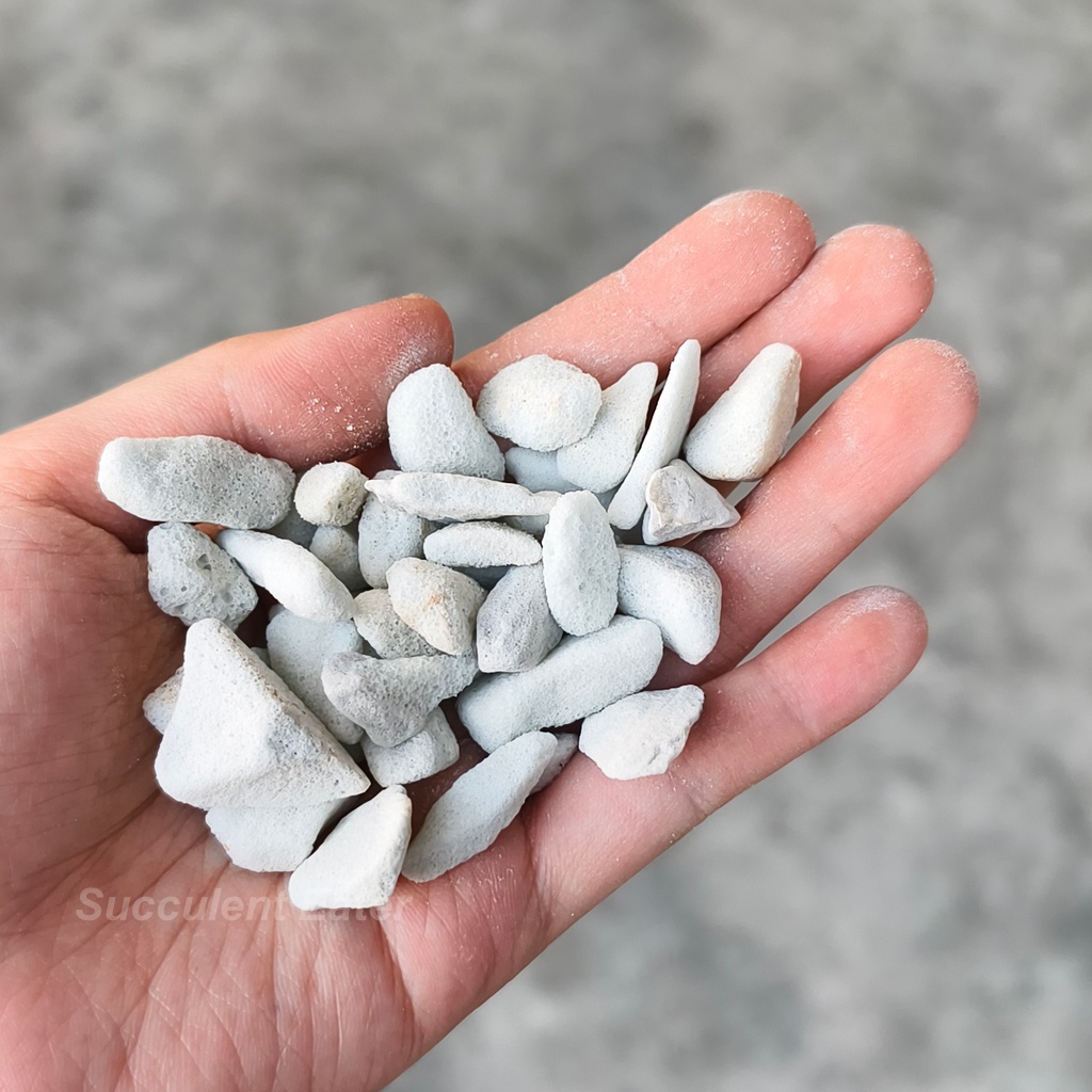 100L Perlite  3-6mm For Cactus & Succulents (Natural Expanded Volcanic  Perlite) Planting Media | Shopee Malaysia