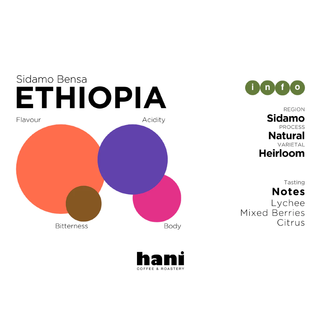 Hani Coffee Roastery Ethiopia Sidamo Bensa – specialty coffee beans Malaysia