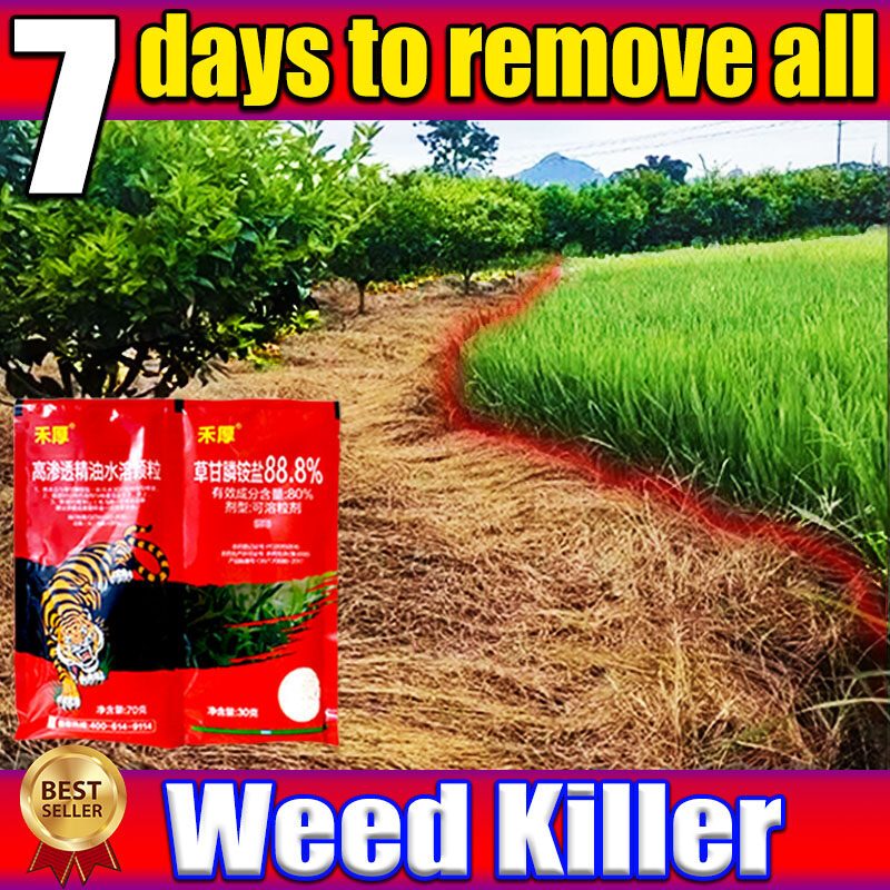 READY STOCK Root rot of century-old bamboo Bamboo killer 500g formula ...