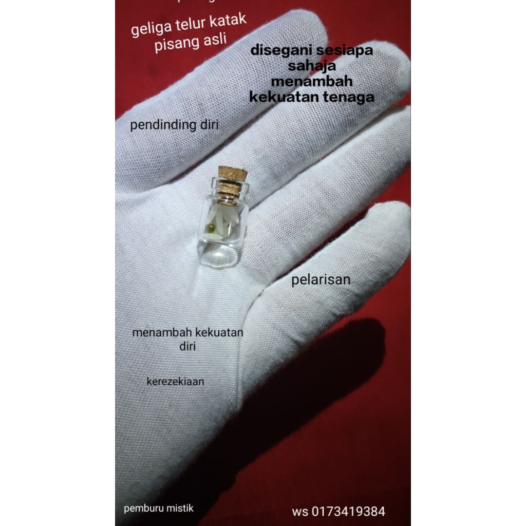 Buy telur katak Online With Best Price, Oct 2026 | Shopee Malaysia