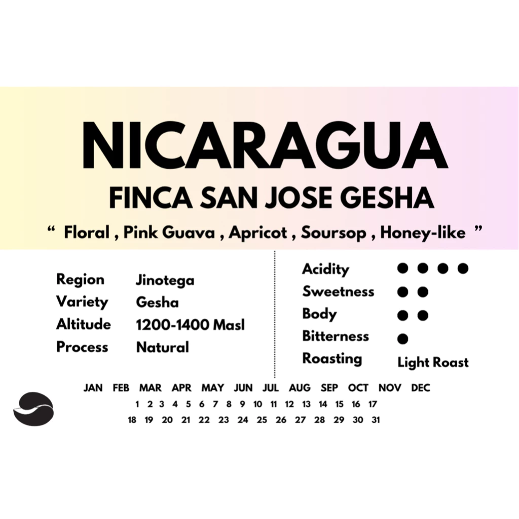 Omni Coffee Roasters Nicaragua San Jose Gesha Natural – specialty coffee beans Malaysia