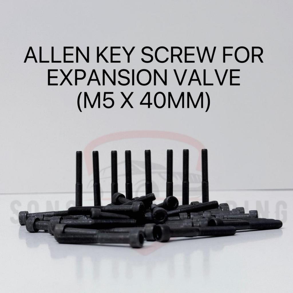 ALLEN KEY SCREW FOR EXPANSION VALVE(M5 X 40MM)(DENSO/SANDEN CAR ...