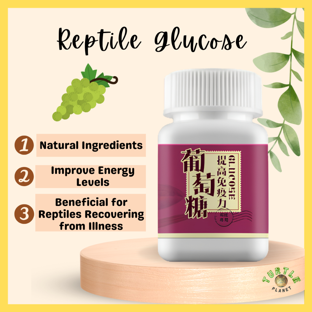 Turtle Glucose Electrolyte Turtle Supplement Turtle Medicine Vitamin C ...