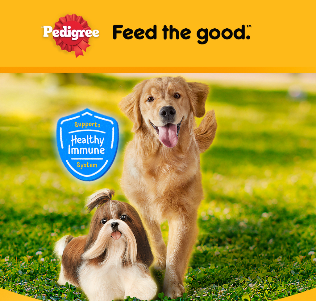 Pedigree dog outlet food coupons