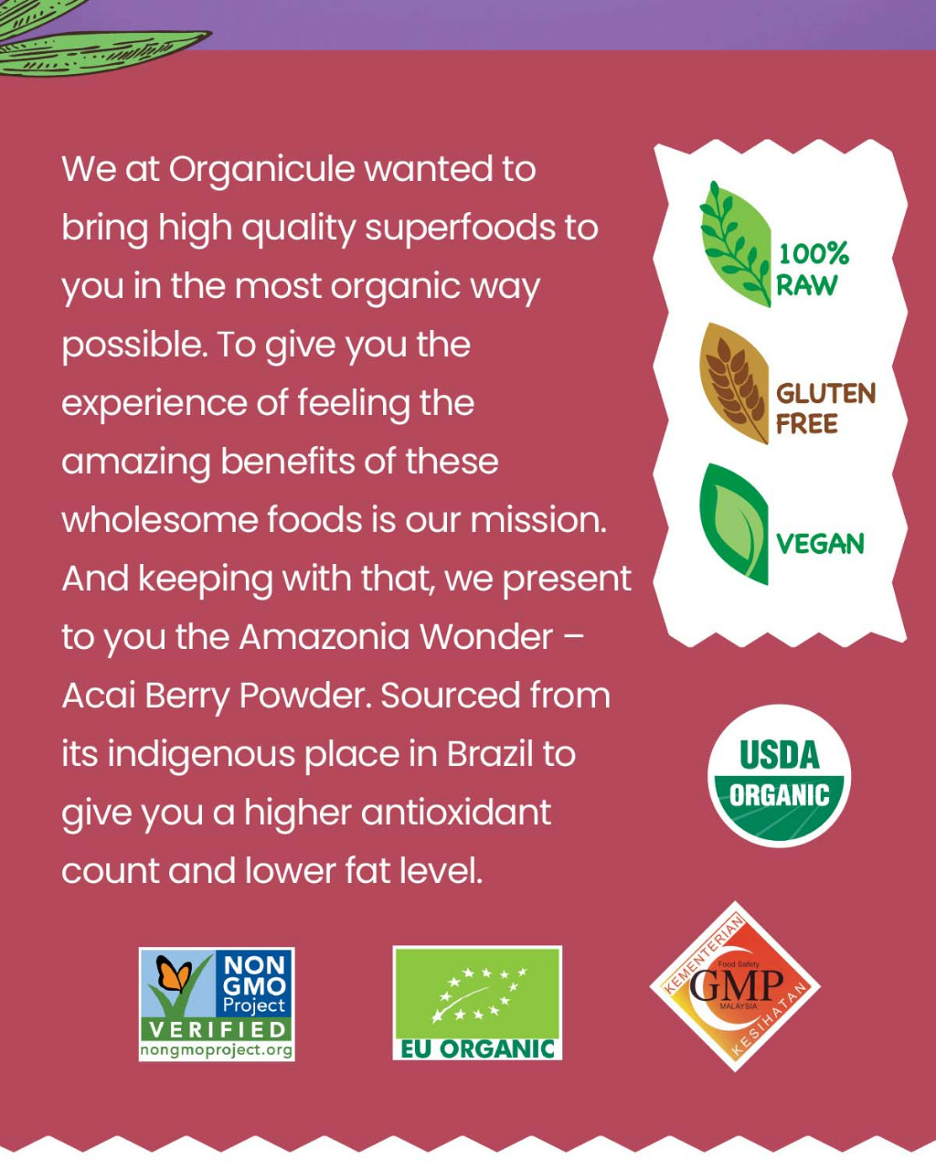 Organicule Acai Berry Powder [100g] Natural Anti Aging Super Food Rich In Vitamin A And E