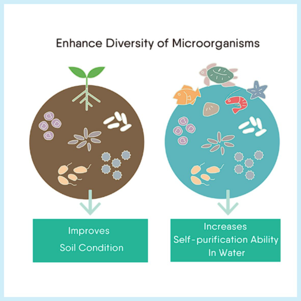 Efektif Mikroorganisme/ Effective Microorganism. GENERAL USE 350ml ...