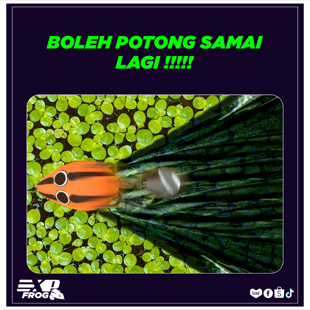 EXP RUGBY / RUGBY MINI FROG Soft Rubber Frog Expert For Snakehead ...
