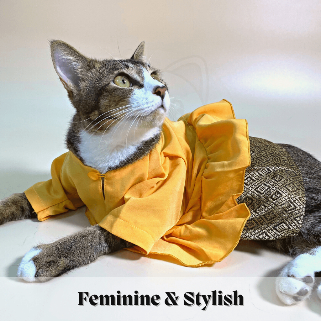 MaoH Baju Raya Kucing Betina (Apricot Orange) Peplum 2024 Ready Stock ...