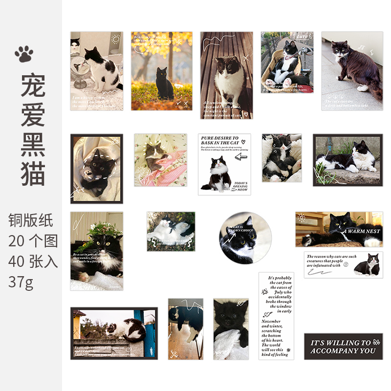 40pcs Cute Pets Sticker Cat Journal Stickers Animals Stickers Phone ...