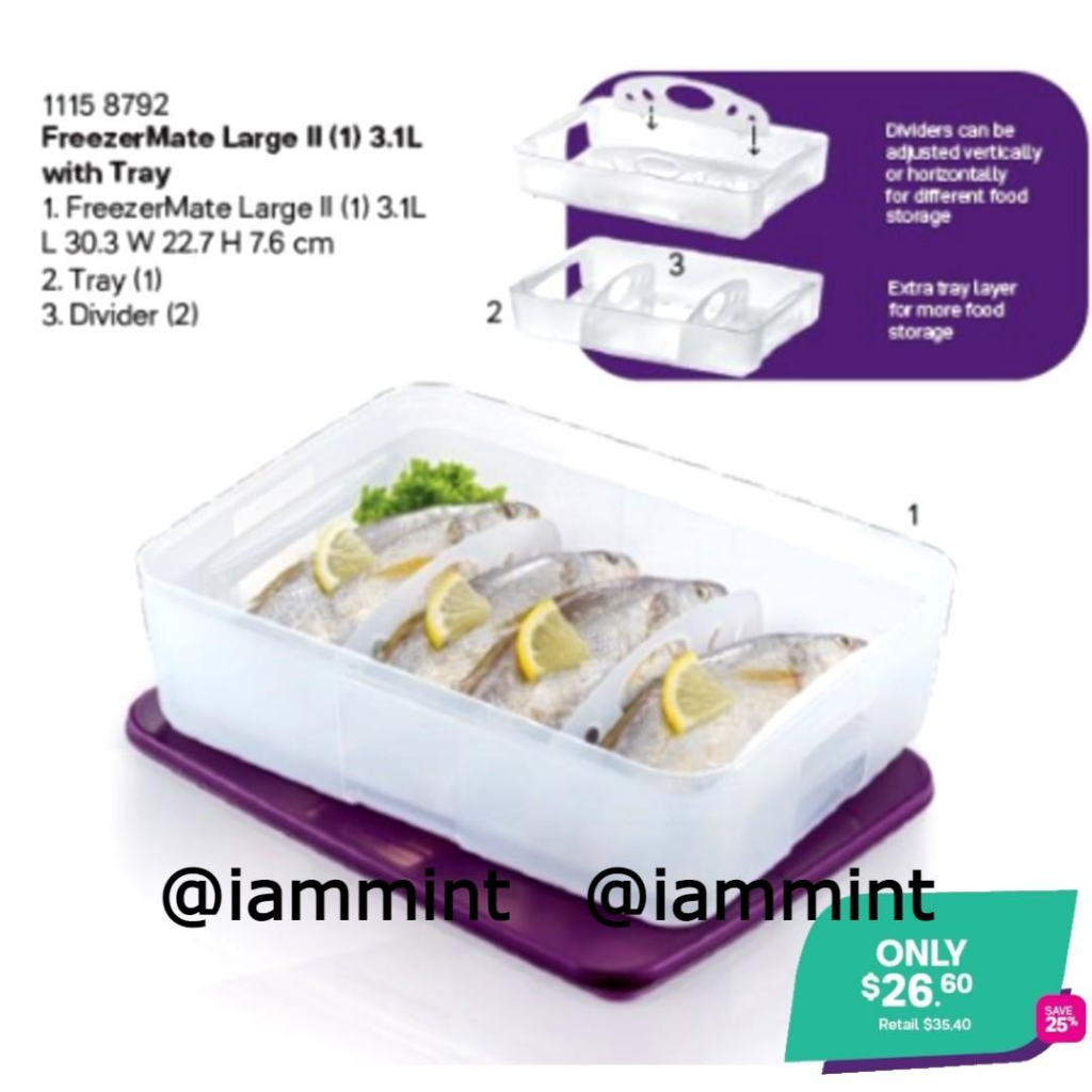 OFFER: Tupperware Freezermate 3.1L Frozen Fish Prawn Meat Chicken ...