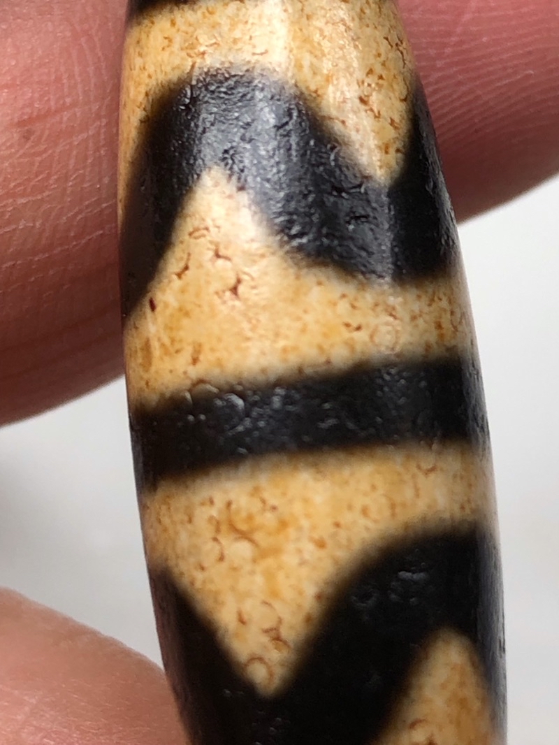 Tibetan Dzi Beads Double Tiger Teeth Dzi Beads 藏传老矿牙黄