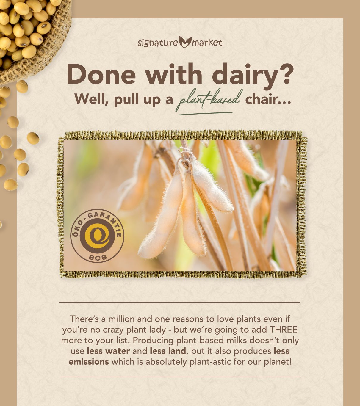 Signature Market Organic Energy Soy Milk Powder No Added Sugar (500g