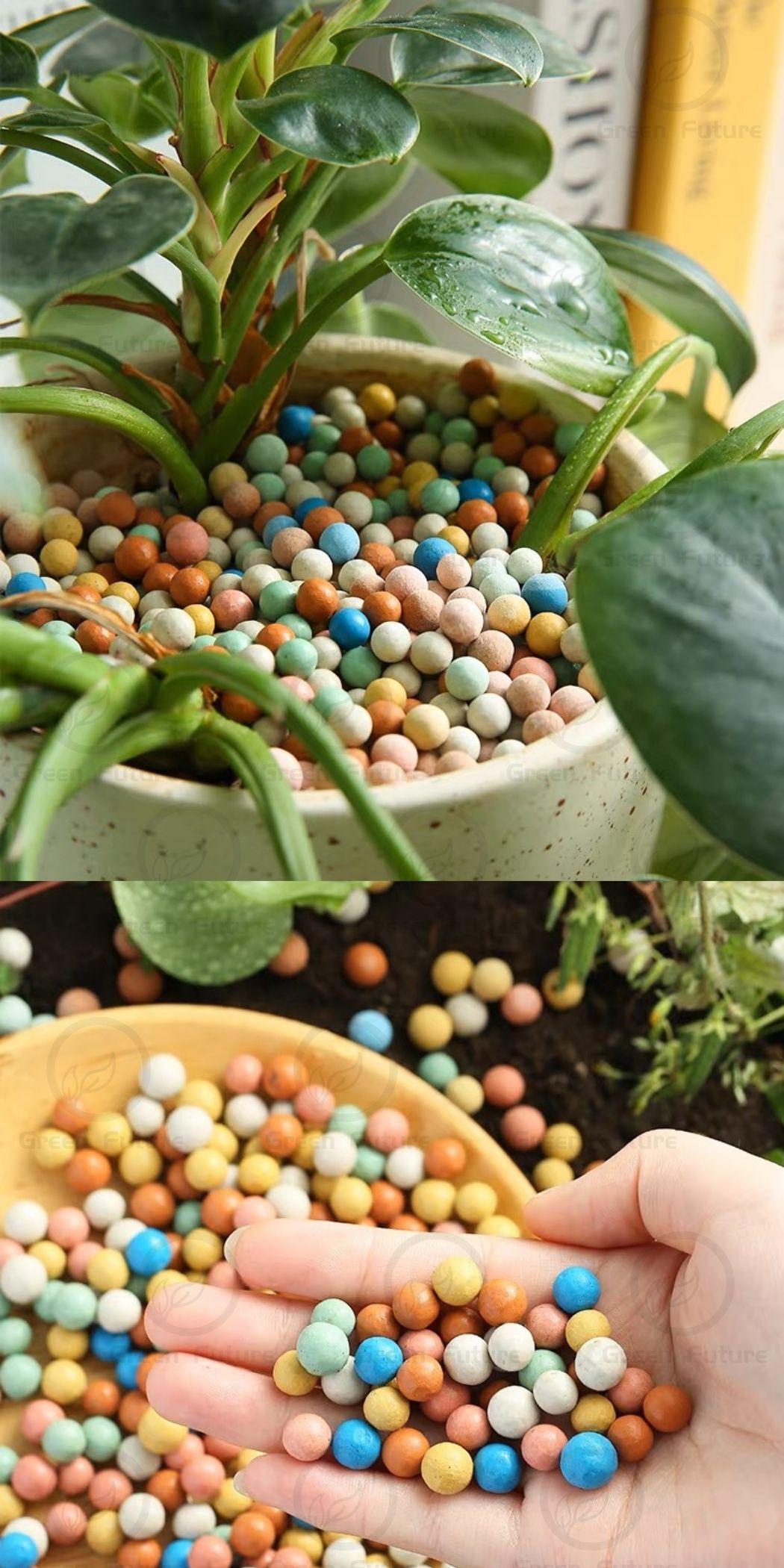 Rainbow Color Leca 10mm Color Succulent Soil Clay Pebbles Gardening 