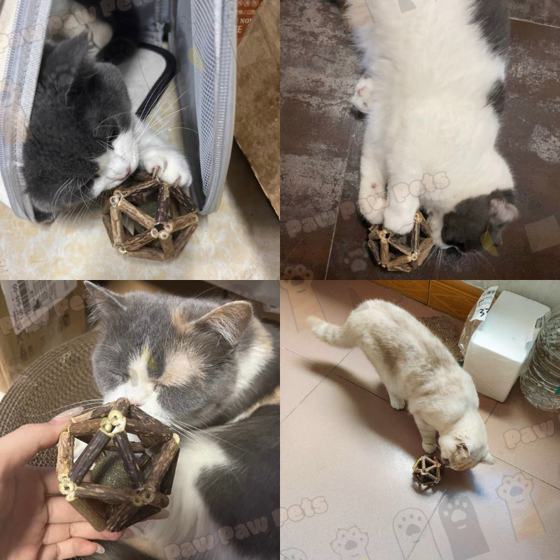 Catnip Ball Toy | Mainan Catnip Bola Kucing | Shopee Malaysia