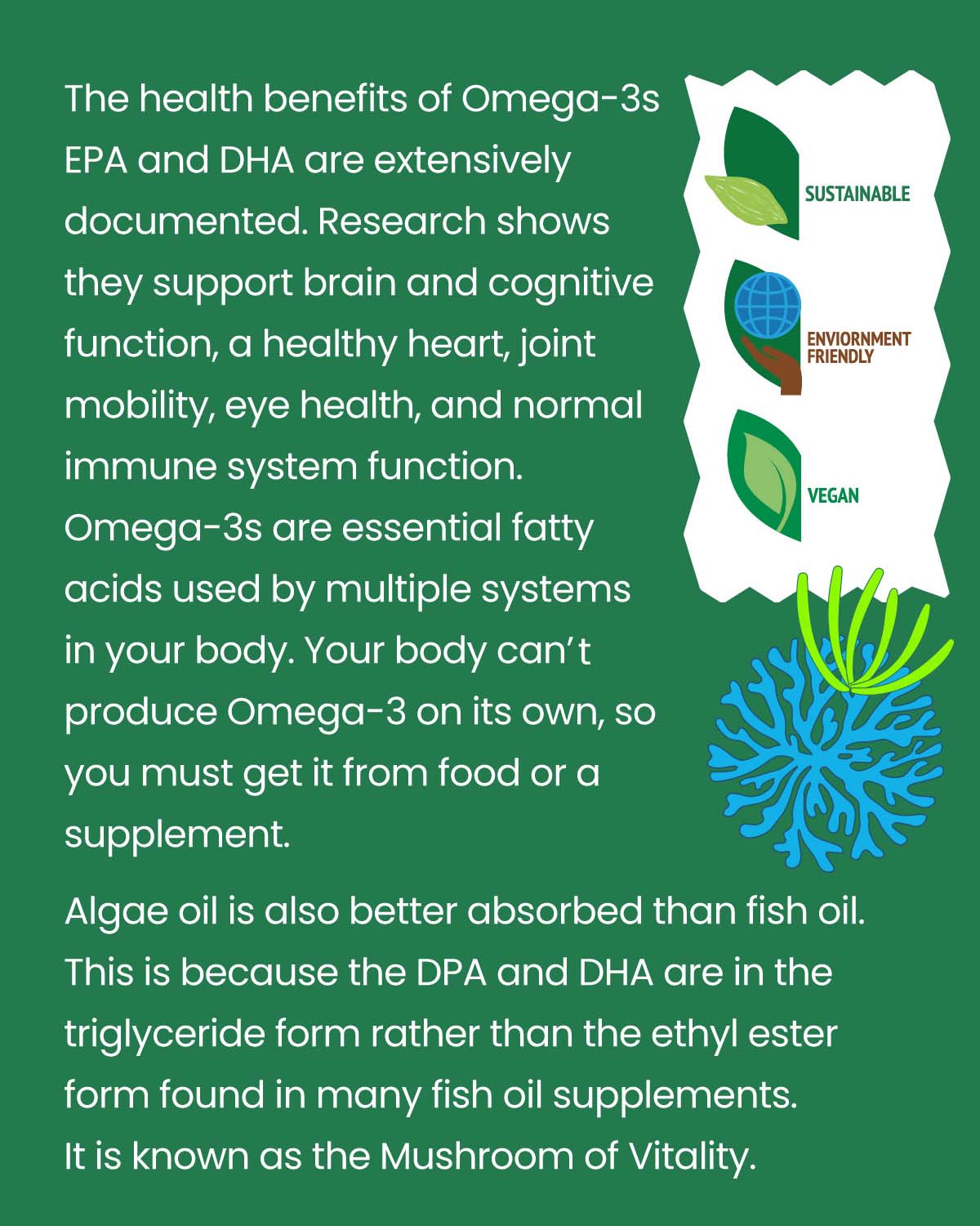 Organicule Algae Oil DHA 250mg Softgel | Omega 3 | Fish Oil Alternative ...