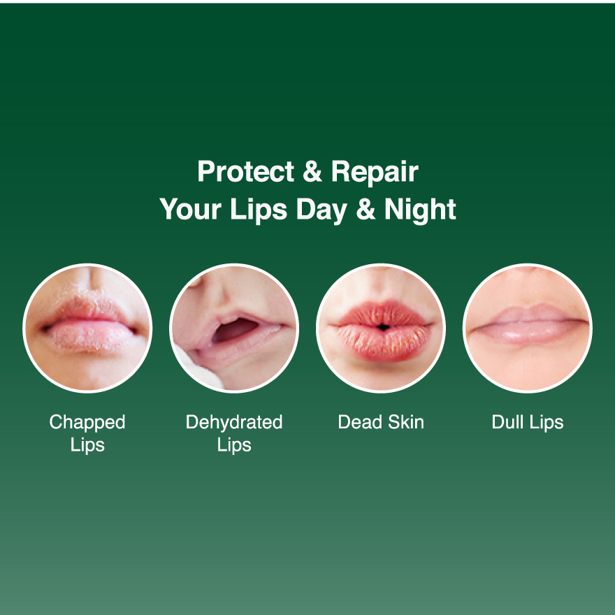 Mentholatum Repair One Fragrance Free Lipbalm Deep Moisturizing