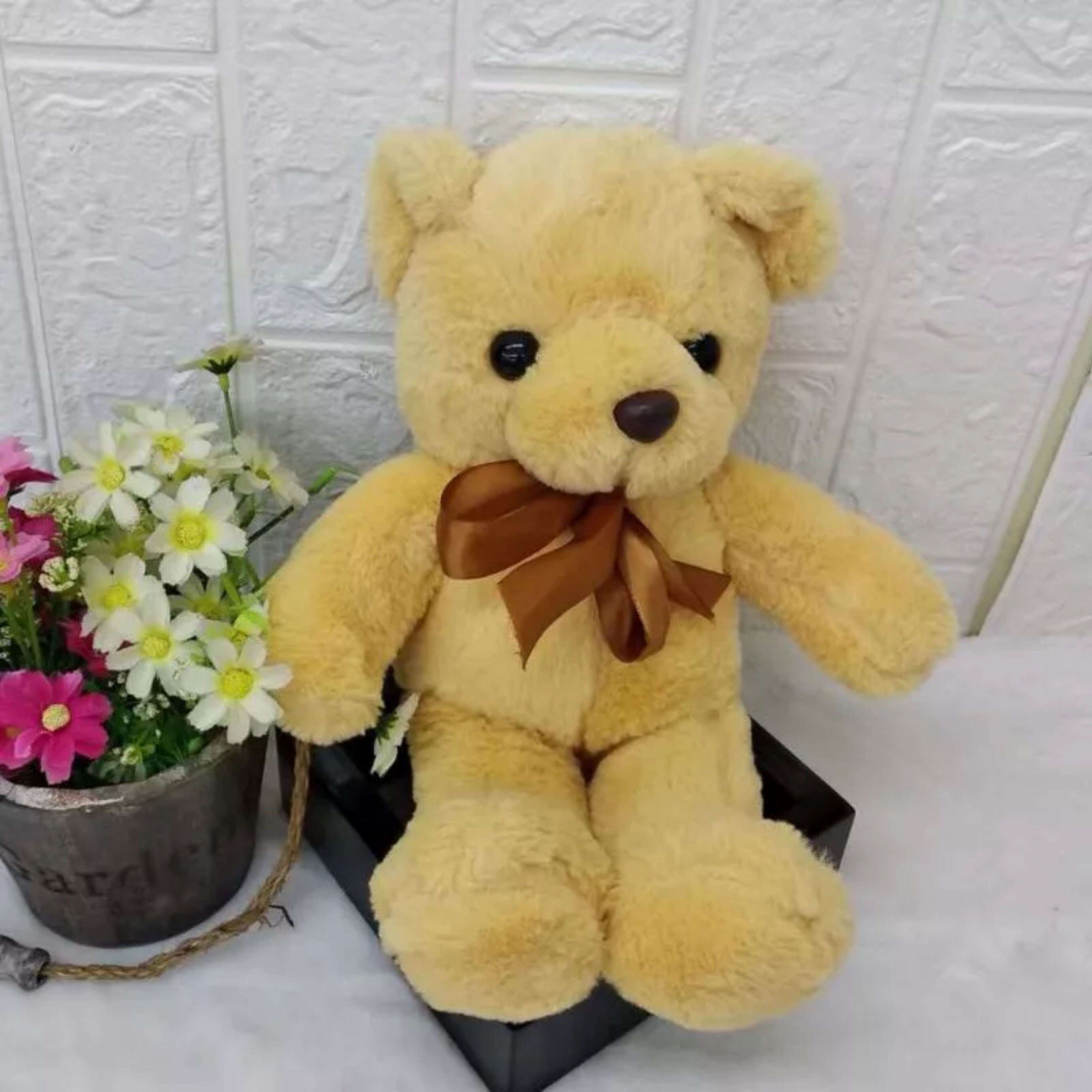 30cm Cute Teddy Bear Ribbon 多彩熊.泰迪熊.丝带熊抱抱熊 Soft Toys Cartoon Soft Plush 