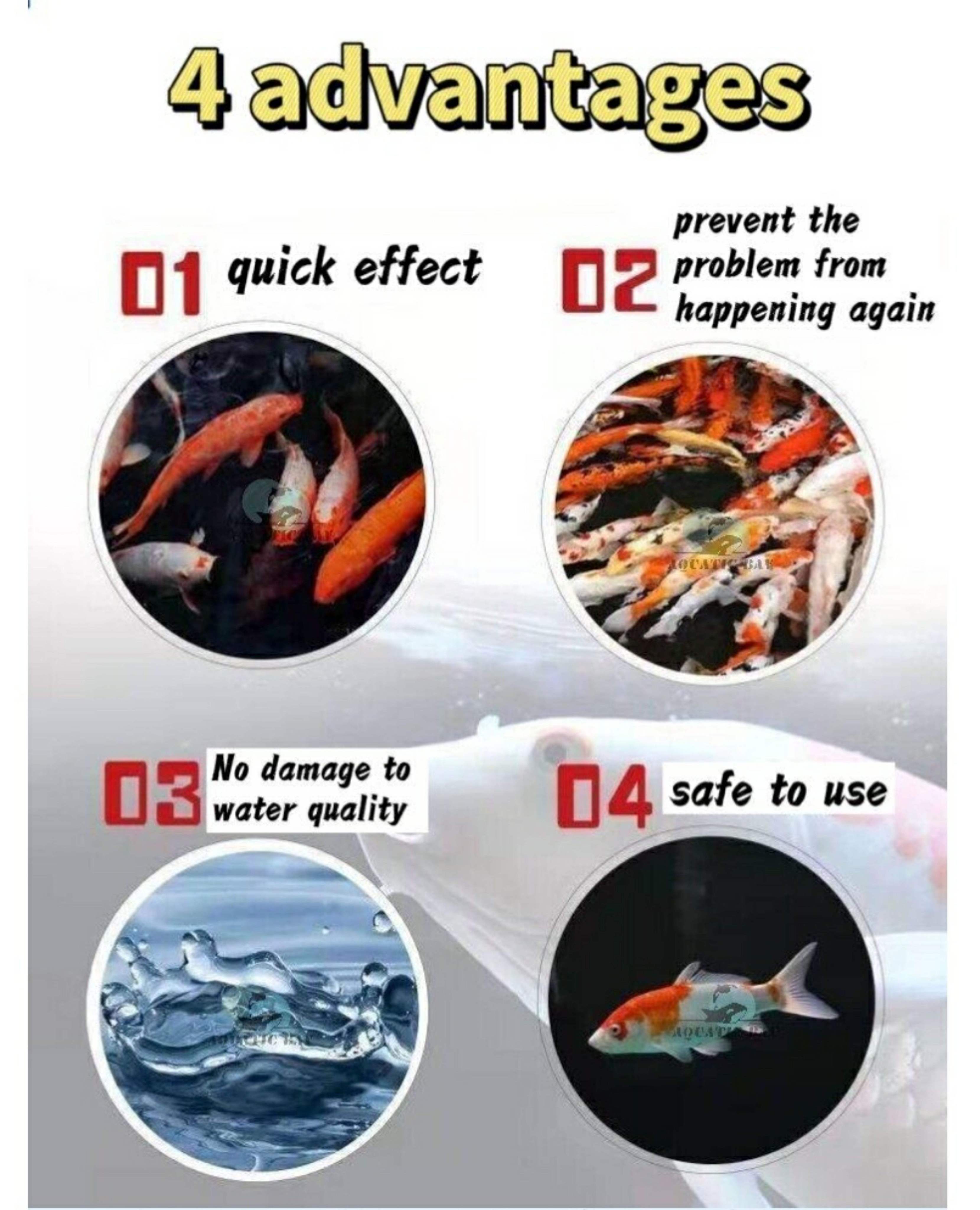 YEE Aquarium Koi Fish Comprehensive Rehabilitation Fish Treatment Cure ...