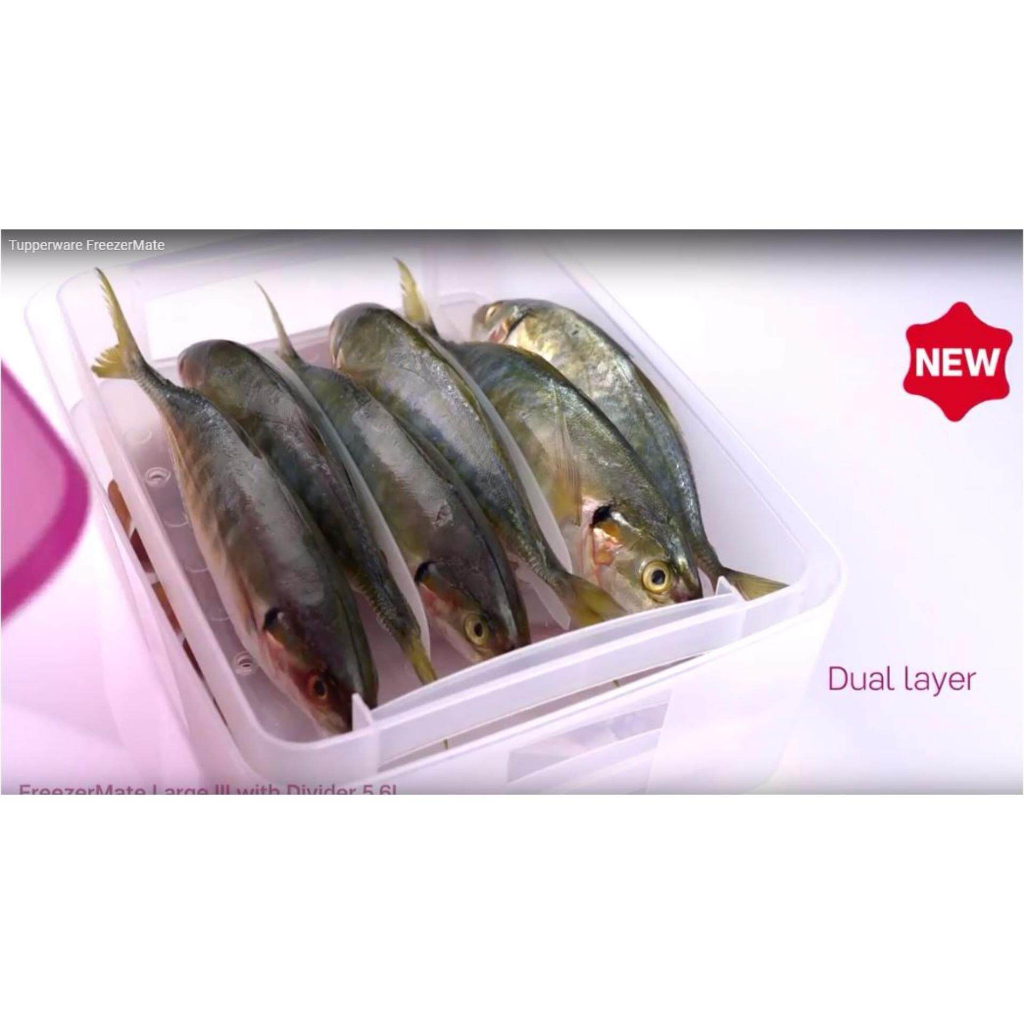 OFFER: Tupperware Freezermate 3.1L Frozen Fish Prawn Meat Chicken ...