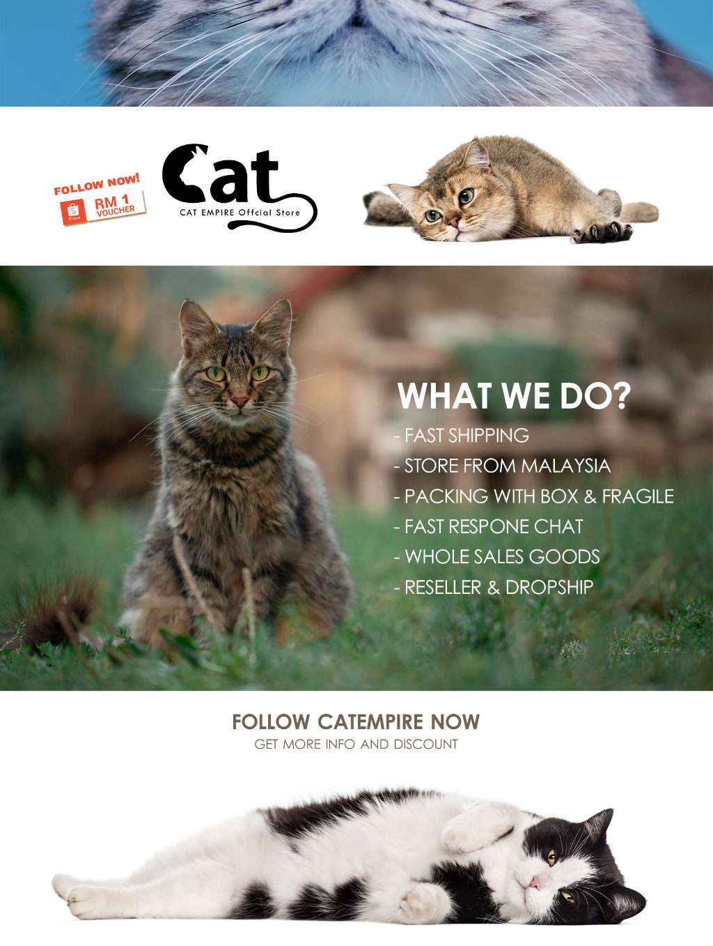 Cat Empire Cat Toilet Jumbo large cat litter box Tandas Kucing XXL 10 ...