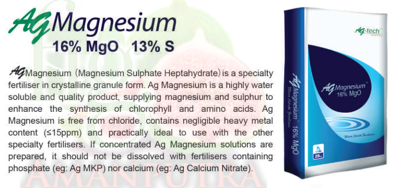 Repack AG Magnesium Sulfate 16% MgO (Epsom Salt Untuk Tanaman) | Shopee ...
