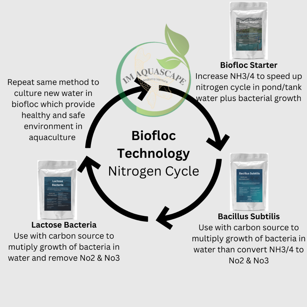 Lactose Bacteria Probiotic for Aquaculture Biofloc Untuk Ternakan Ikan ...