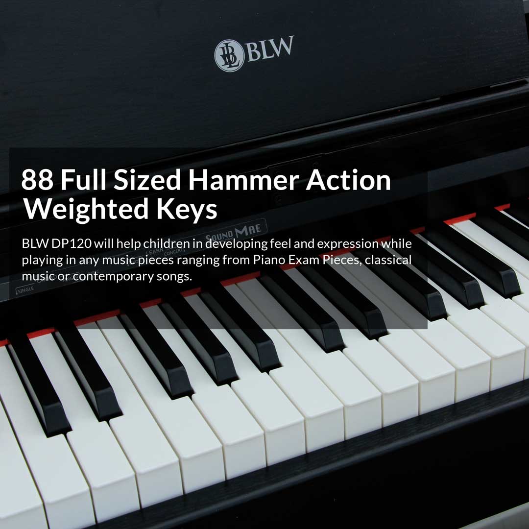 Exam Grade BLW Digital Piano DP120 88 Keys Bluetooth Hammer Weighted