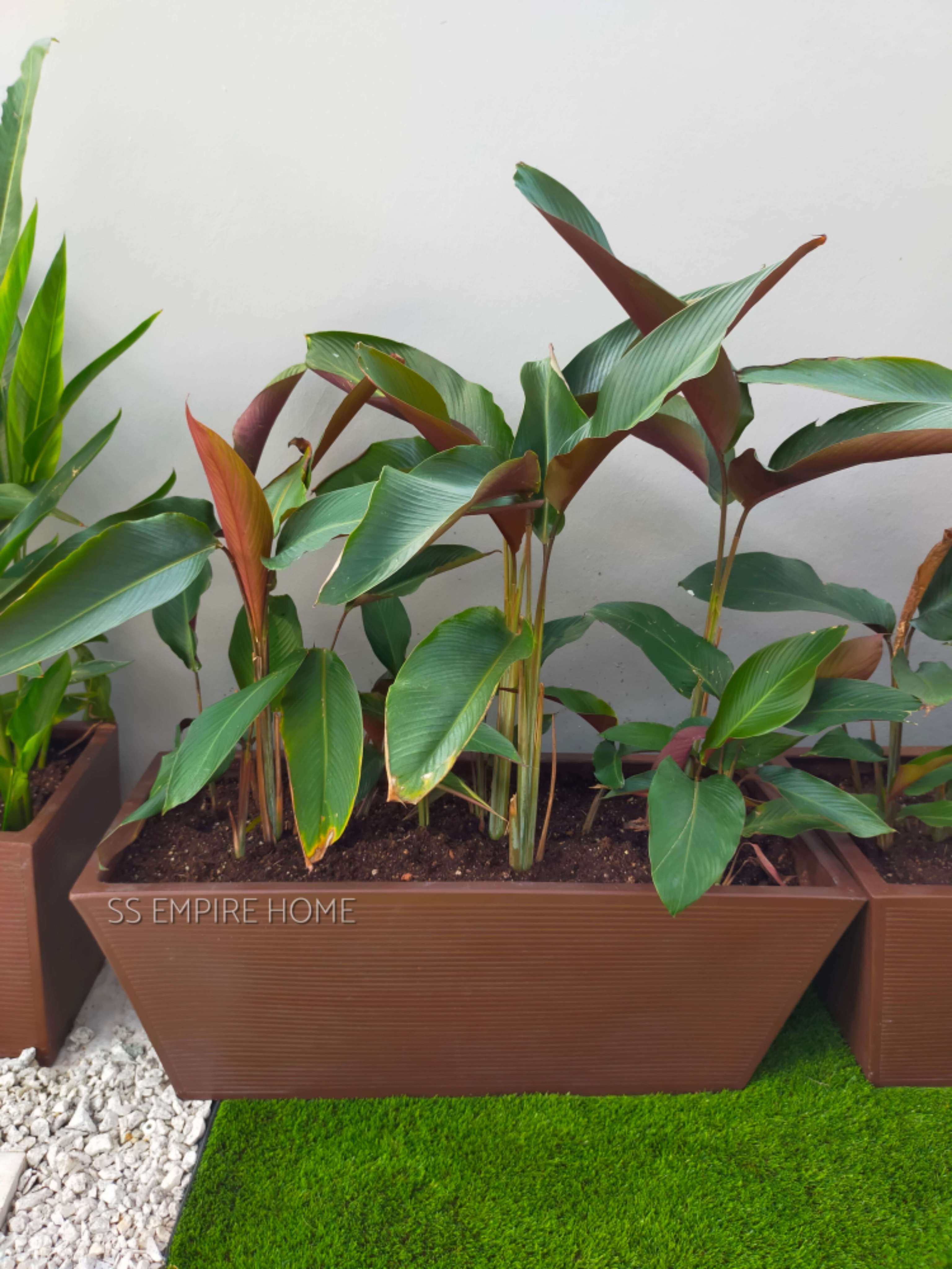 RICO Z2 Slant Line Planter box Fiberglass Flower Pot Pasu Bunga Garden ...
