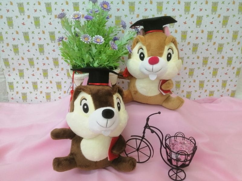 18cm(7