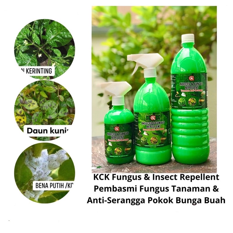 Racun Serangga dan Kulat Organik / Fungicide Plant / Natural Pesticide ...