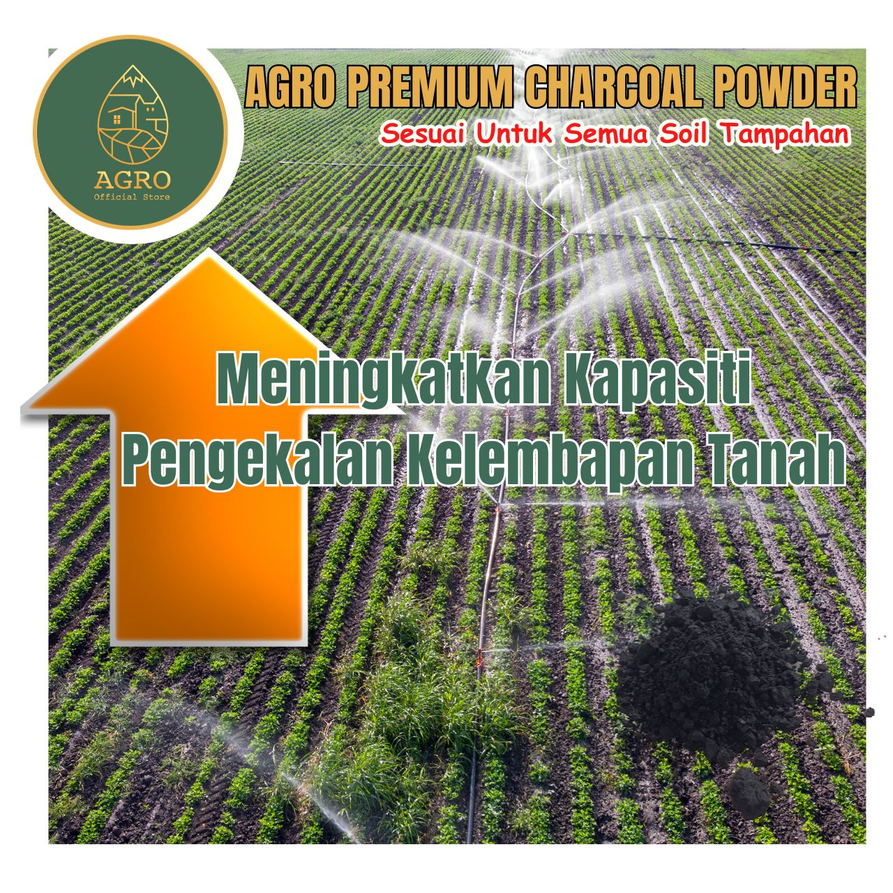 Agro Premium 100% Natural Actived Charcoal Powder Serbuk Arang Tanah ...