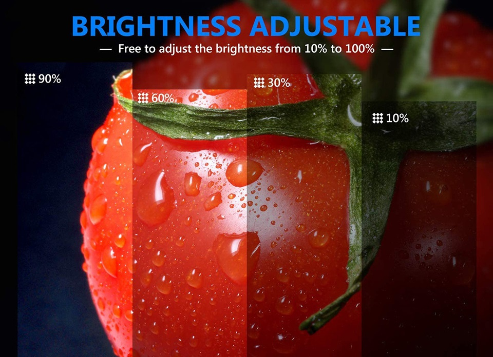 Desktop LED Fill Light Stand RGB Filter Cards Light Board Set ...