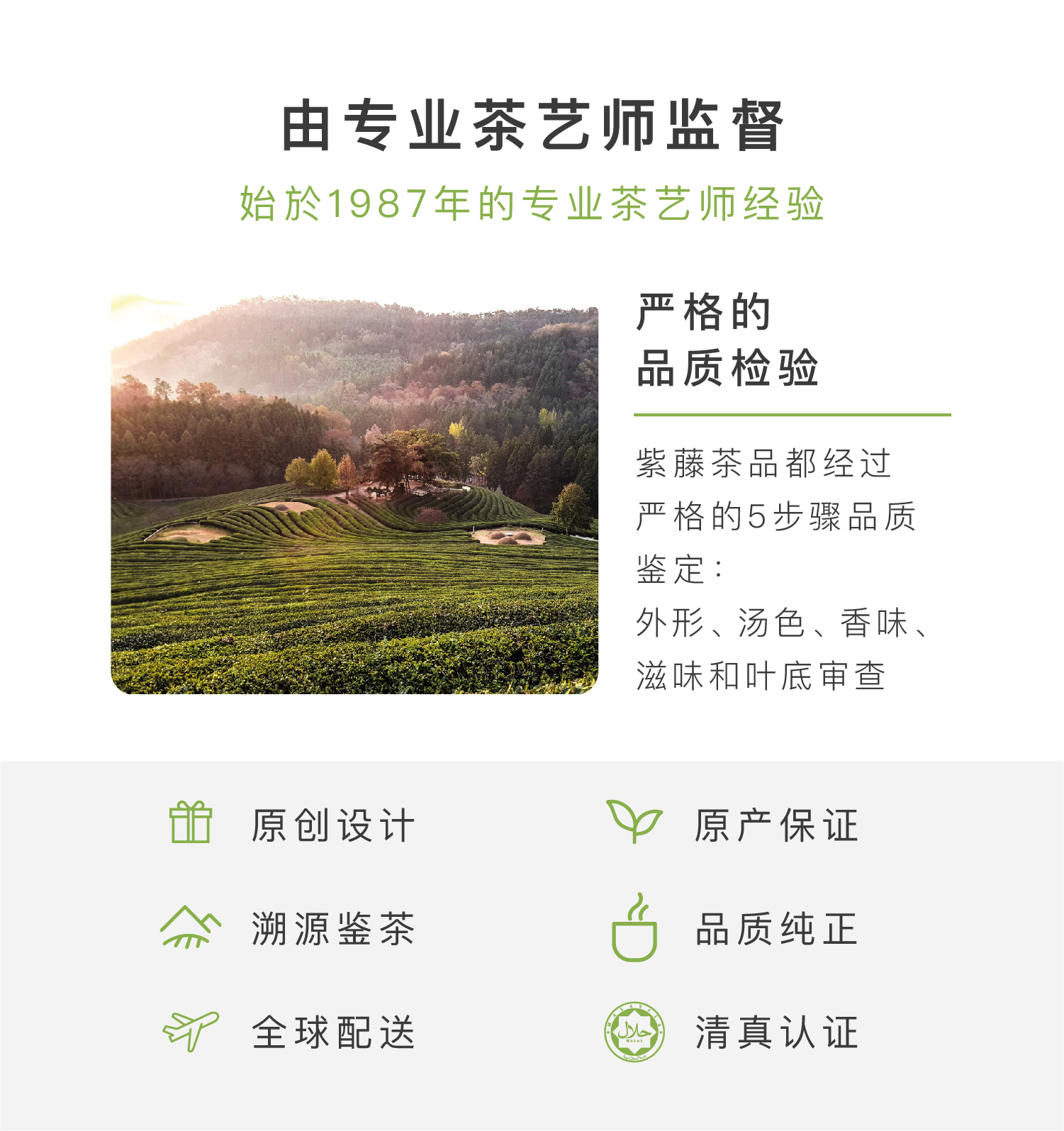 Purple Cane Bundle Deal: Long Jing + Bi Luo Chun Green Tea Year 2026 紫藤 ...