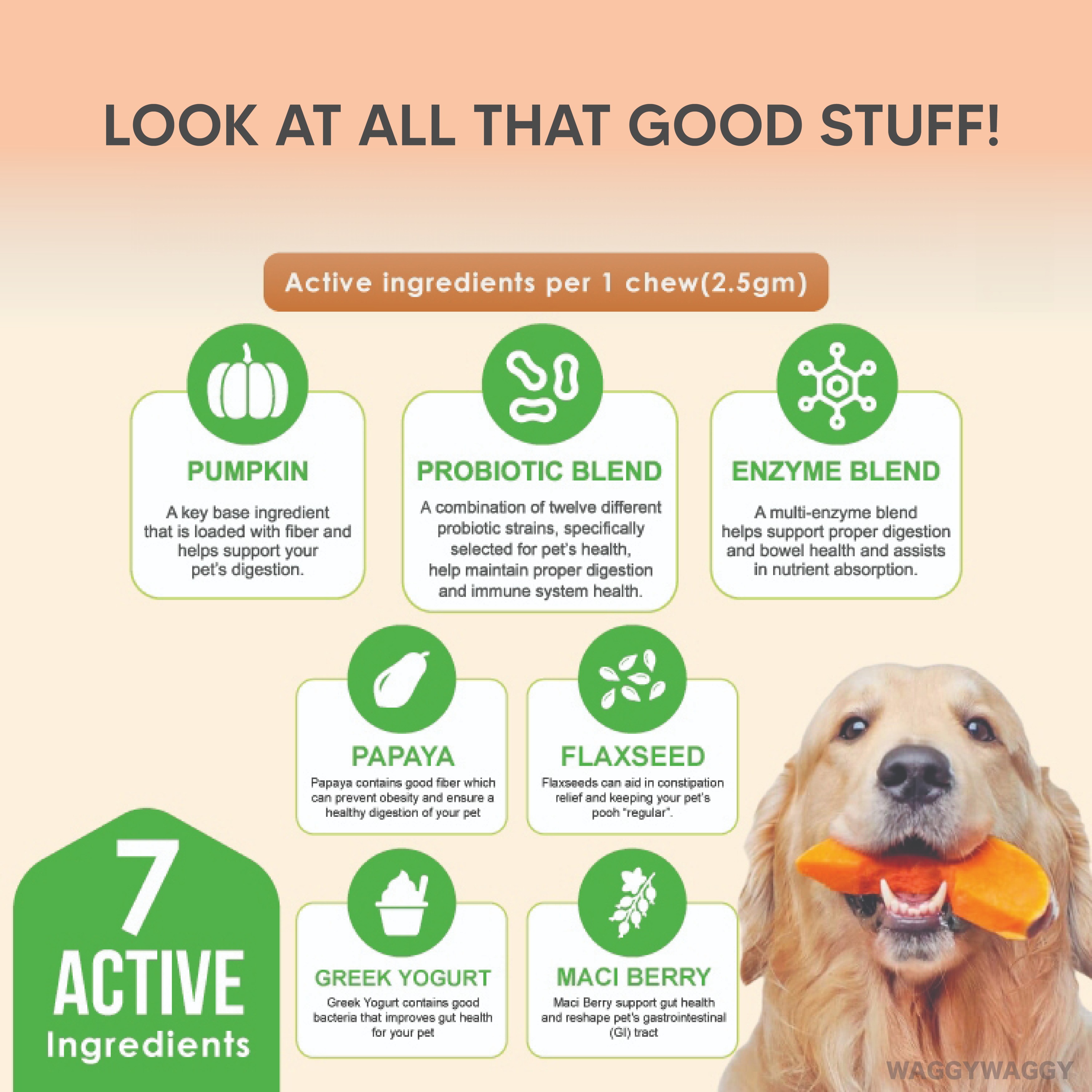 Gallery Detail: Waggywaggy Nanovet Pet Probiotic Chews 120 Soft Chews Cat Dog
