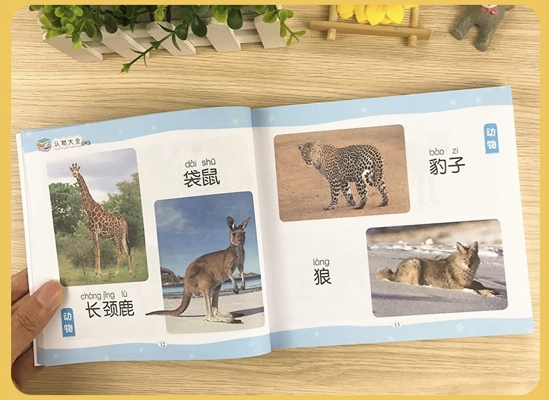 【认物大全 】大字注音 认动物水果蔬菜形状颜色标志幼儿童早教启蒙看图识字 Children Chinese Character English ...