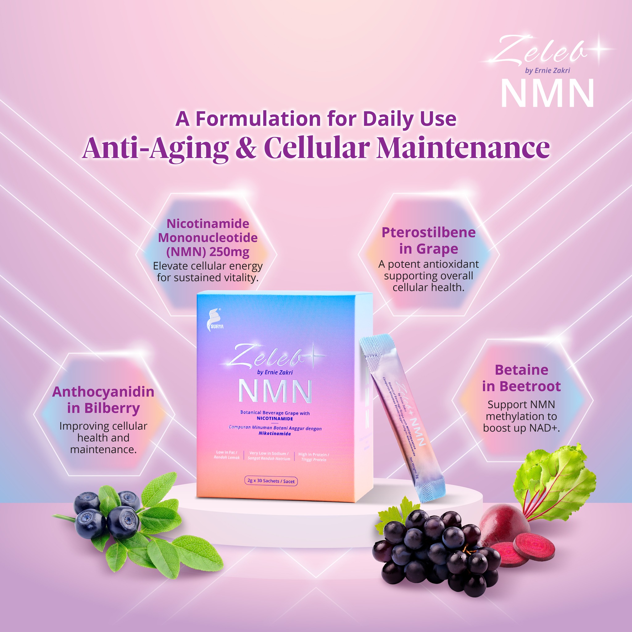 Zeleb+ NMN (7/14/30 Sachets) 250mg of 99% Pure NMN (For Elevate Energy ...