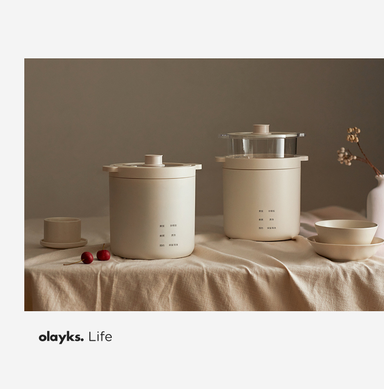 Olayks 1.2L Multifunction Electric Rice Cooker Mini Rice Cooker OLK-05 ...