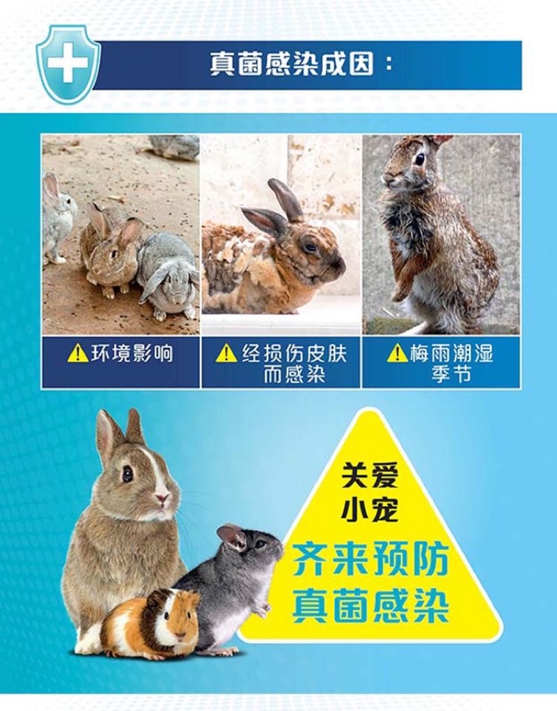 EXP2026/03/19 Dr Bunny Promedi伤口皮肤病真菌仓鼠 兔子 龙猫 天竺鼠 fungus antifungal ...