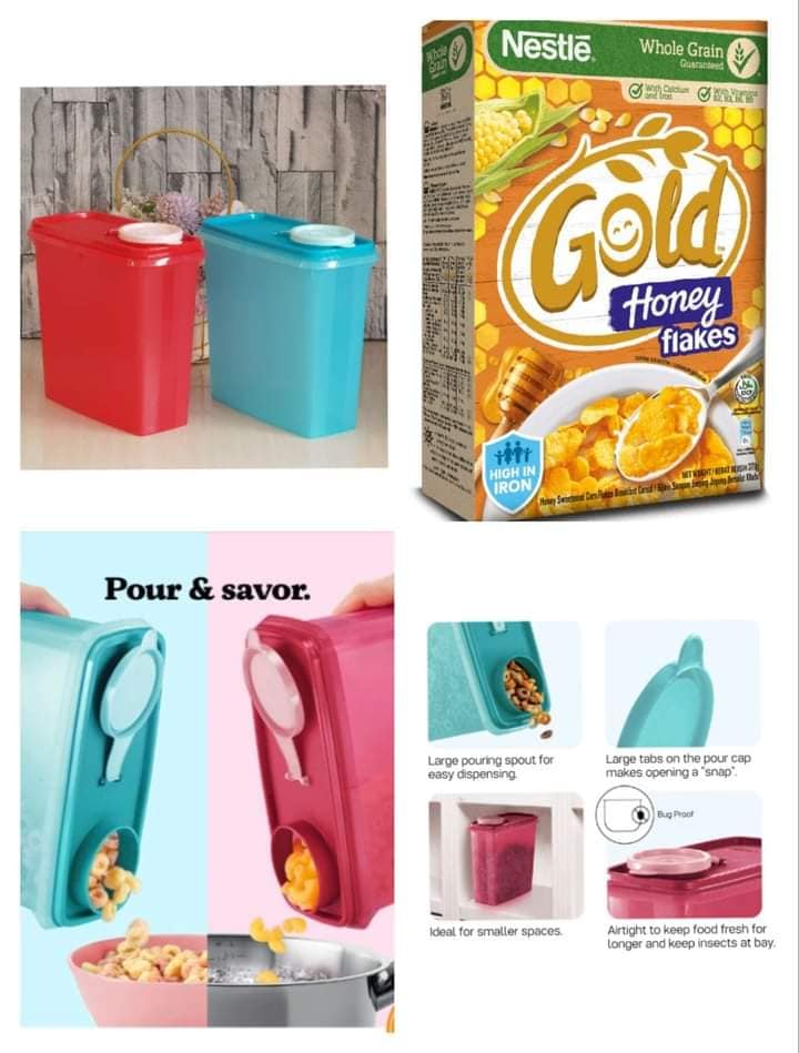Tupperware Snack EZ Storer Clear Window 2.9L (Multi Storer container ...