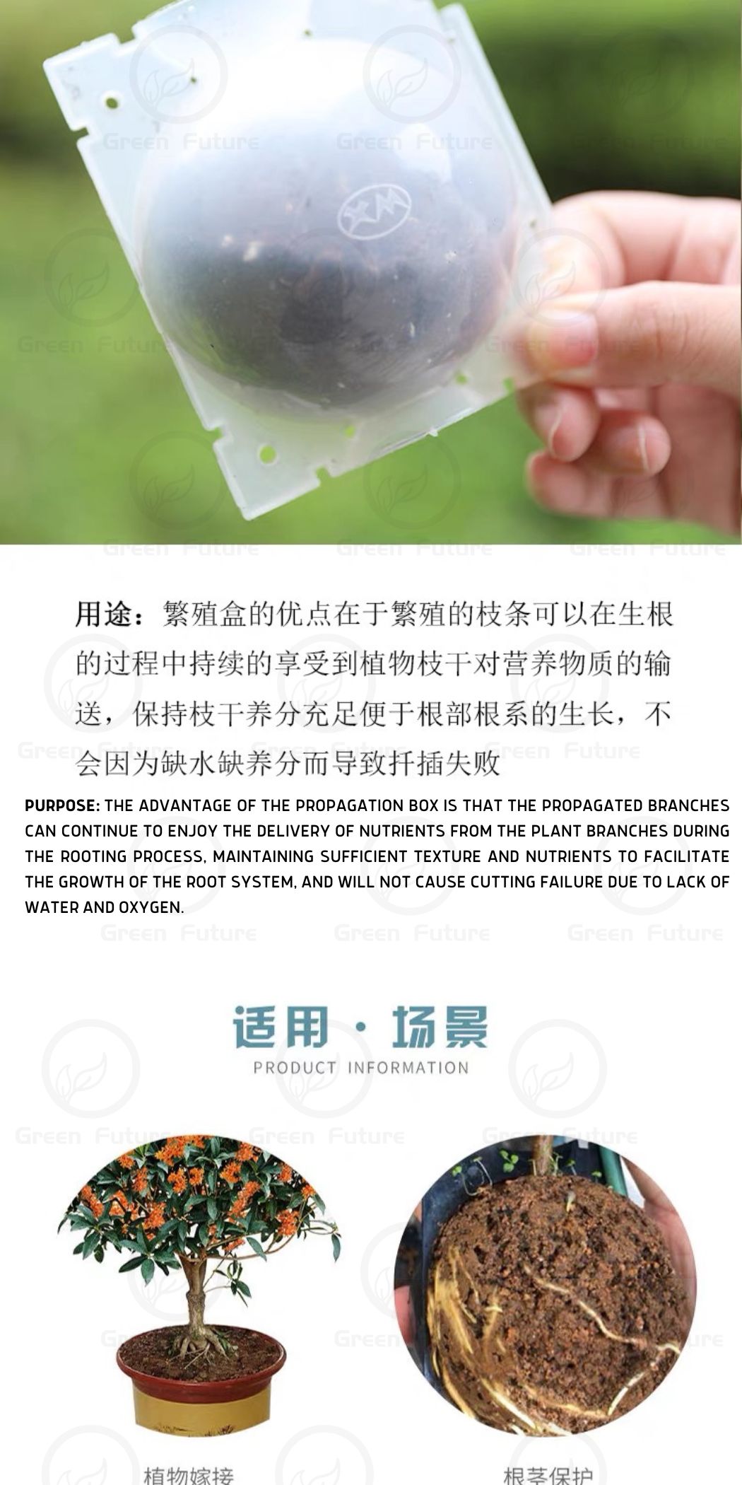 高压繁殖盒 Root growing boxes Rooting Boxes for Trees High Pressure Plant ...